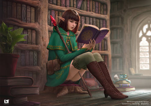 Elf wizard goes to the library