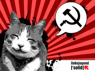 Communist cat