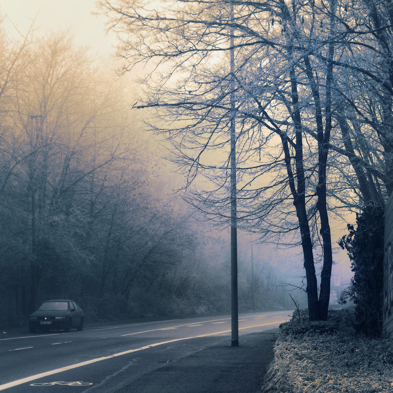 Similar