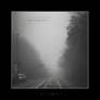 Fog Vintage