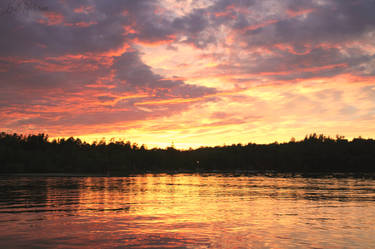 Down by the Lake