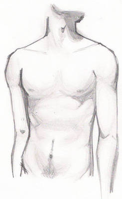 Male Anatomy Practice