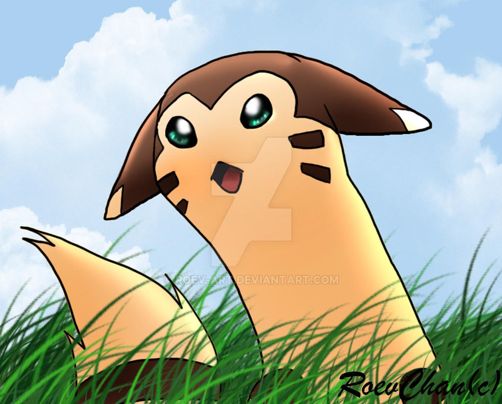 Furret