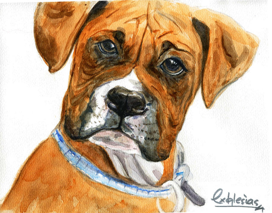 Deviantart Boxer Dog Boxer by DvdIglesias on DeviantArt