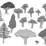Tree Variety Study