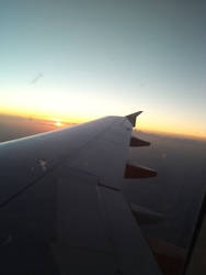 wing of the plane