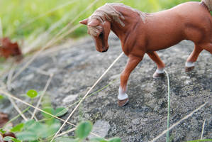 Schleich horse...