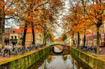 Autumn in Delft by siddhartha19