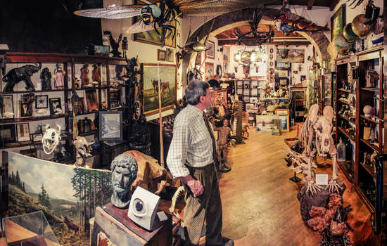 Antiques and Oddities