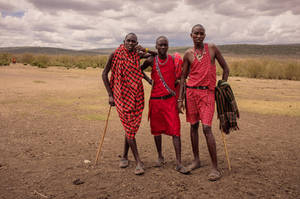 A jazzy trio - Masaai Mara by siddhartha19