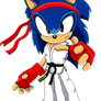 Sonic the Hedgehog as Ryu Hoshi