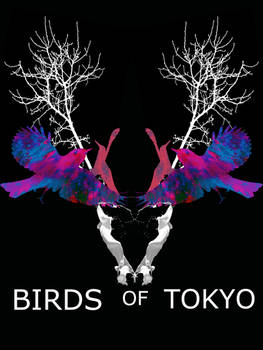 Birds Of Tokyo- March Fires Tour