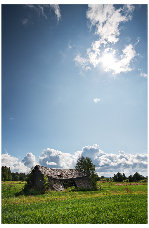 Sunny Day On The Fields