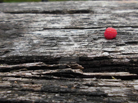 wood and fruit