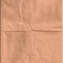 Paper Bag Texture
