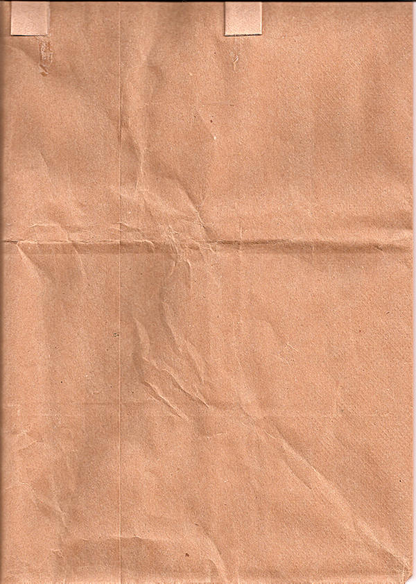 Paper Bag Texture