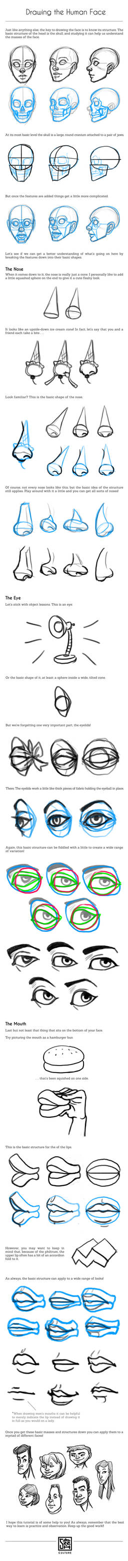 Drawing the Human Face Tutorial