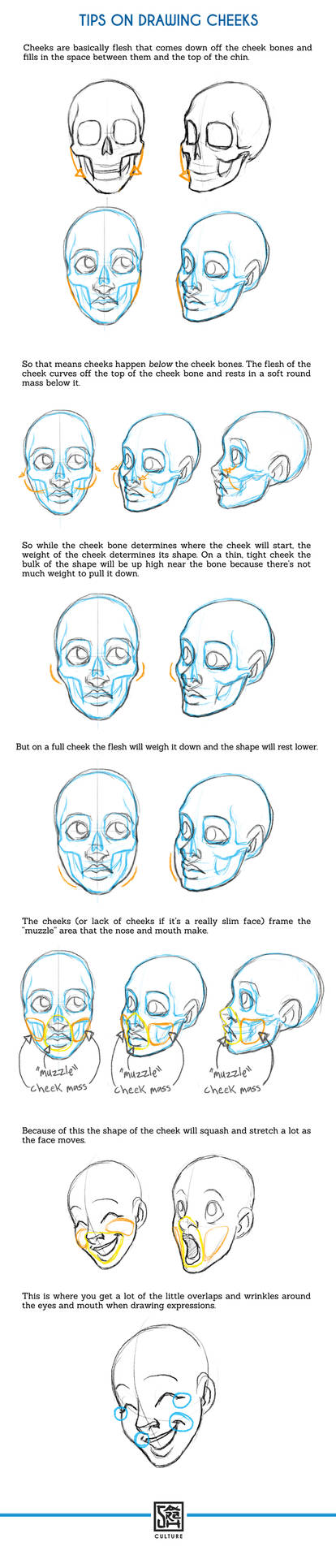 Tips on Drawing Cheeks Tutorial by SarahCulture on DeviantArt