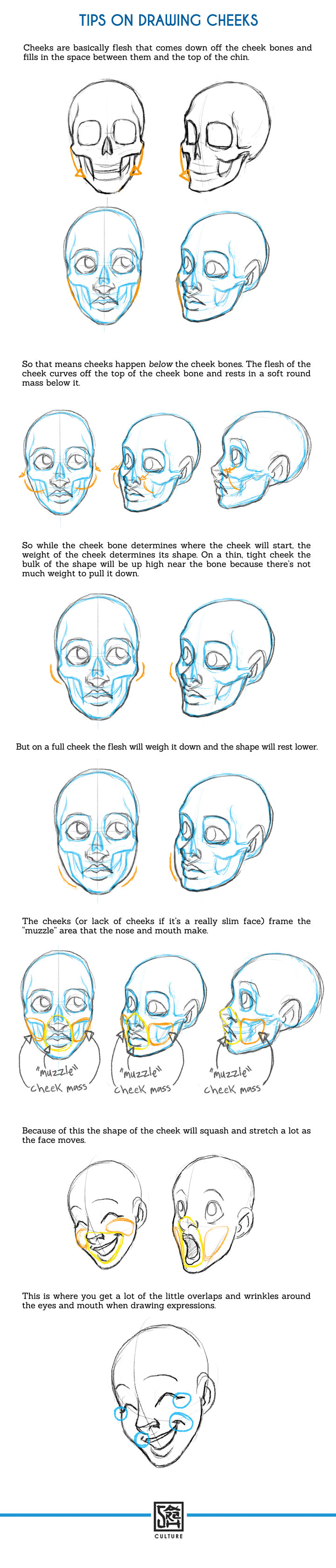 Tips on Drawing Cheeks Tutorial