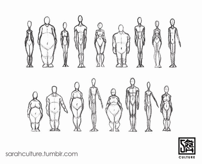 Reference Different Body Types Model Body Types by SarahCulture on DeviantArt
