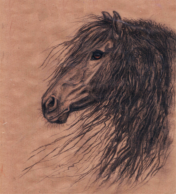 Friesian horse