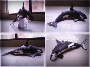 Orca toy - poses