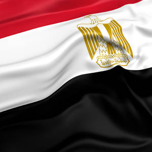 Egyptian Flag