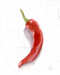 Chili Pepper4