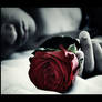 Roses for the dead II.