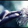Delicate Sense