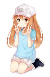 platelet