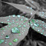 Raindrop Color