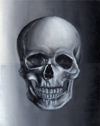 Skull study