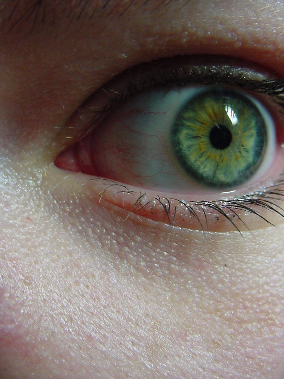 high res eye, 8