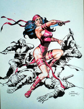 Elektra against the Ninjas