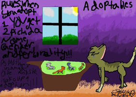 ADOPTABLES rules in da picture