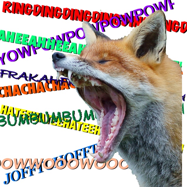 WHAT DOES THE FOX SAY??!!!???!!