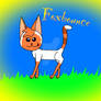 Foxbounce