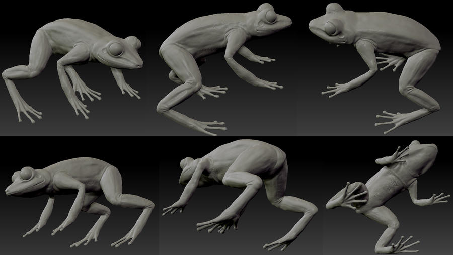 The Frog - 3D