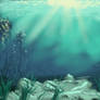 20200928 Kelp Forest