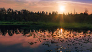 Sunset Kayak Trip