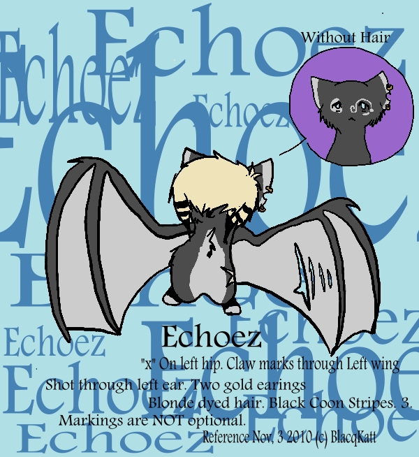 Echoez Nov. 3 2010 Ref. Sheet