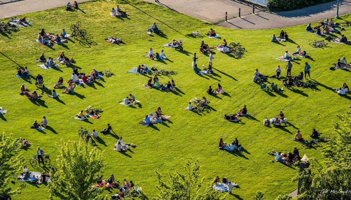Spring Break CYOA TG TF (In construction) by KatiesProjects on DeviantArt