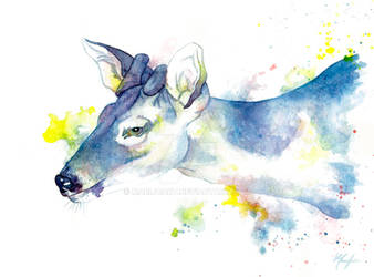 Watercolor Blue Brocker Deer