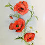 Mohn