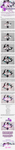 Tutorial In the future by lady-alucard Tutorial In the future by lady-alucard