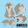 amosis ref