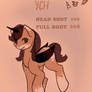 Pony ych