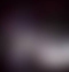 Two Nightmare Canines By Bykassta