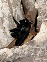 Photo 2025-06-04 02-59-20